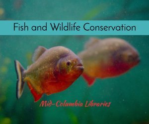 fish and wildlife conservation image